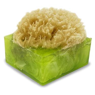 Imagem de Primal Elements Barra de esponja de sal marinho e cítrico (pacote com 2)