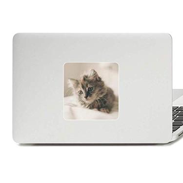 Imagem de Adesivo de vinil de gato cinza gatinho animal decoração de PC