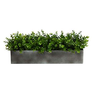 Imagem de Planta artificial de eucalipto, 63,5 cm