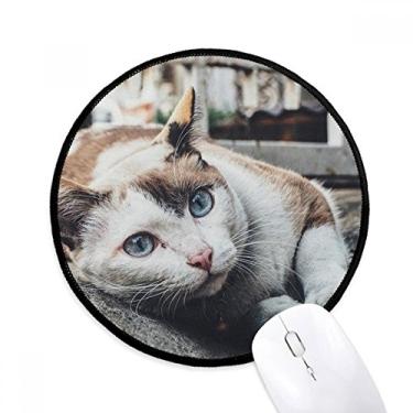 Imagem de Mouse pad com foto de gato colorida de animal para escritório e computador