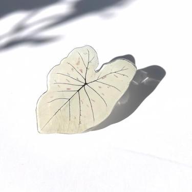 Imagem de Generic Suporte de telefone Plant | Suporte de telefone Leaf | Suportes de telefone com folhas de filodendro, suporte de telefone expansível dobrável multifuncional, compatível com todos os