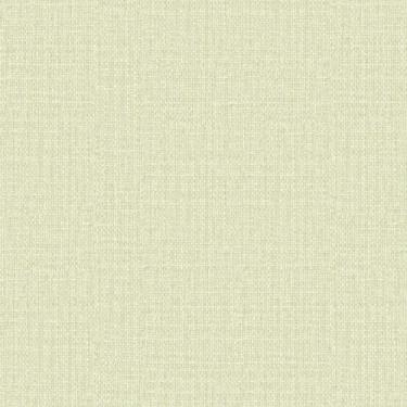 Imagem de Papel de parede Texture III Linho cbege claro TX-3036 Edantex
