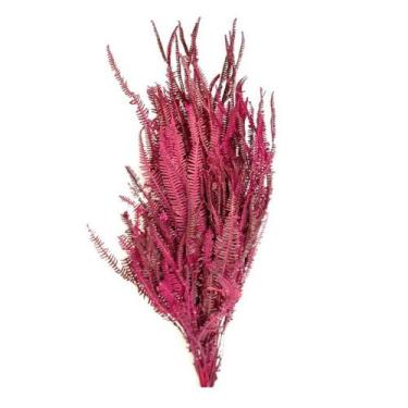 Imagem de uque Samambaia Crespa Desidratado - Inspira Flora, Rosa