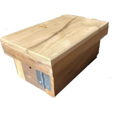 Imagem de Caixa didática para abelha lambe olhos e preguiça - Meliponário Abelha