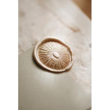 Imagem de Pelargon Design Carimbo 3D Shell Ocean Wax Seal – para convites de casamento, envelopes, embrulho de presente, marca, projeto de arte