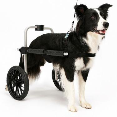 Imagem de Cadeira 2 Rodas Tamanho G RG Cachorro Traseira Regulável Deficiente Pa