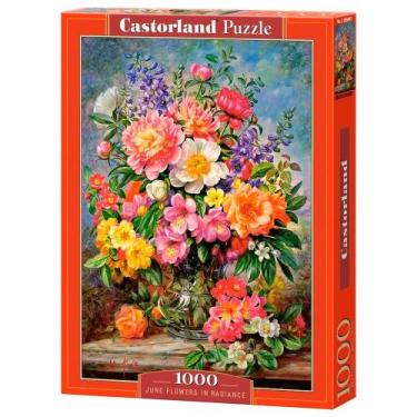 Imagem de Puzzle 1000 Peças Flores Radiantes - Castorland Importado 1039042