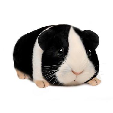 Imagem de Cogumelos de pelúcia e porquinho-da-índia para crianças de 19 cm - Mus