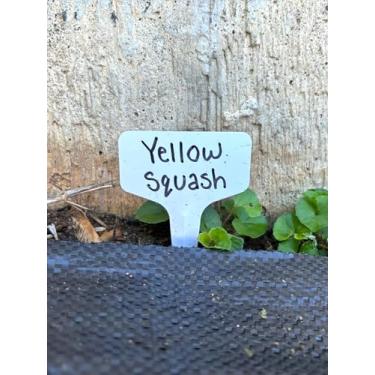 Imagem de 70 etiquetas de plástico para plantas de 6 x 10 cm, marcadores de jardim tipo T para mudas, vasos de plantas, berçário, jardinagem