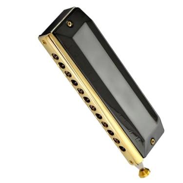Imagem de Gaita profissional de jogo profissional 12 furos C chave cromática instrumento preto misterioso