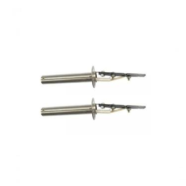 Imagem de Resistencia Zagonel Pratica 220V