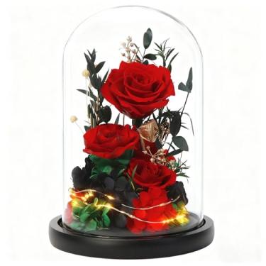 Imagem de MR MIRYE Caixa Forever Rose com luzes de LED brancas quentes e macias – rosa vermelha real preservada em caixa de presente preta elegante, durabilidade de 4 anos, presente atencioso para namorada