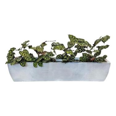 Imagem de Jardineira Decorativa De 1 metro Floreira Para Plantas E Flores - Alpe