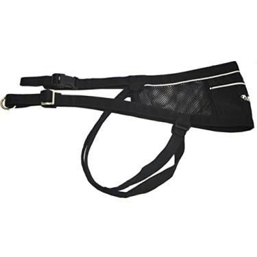 Imagem de Cinto Canicross & Skijoring para correr ou caminhar com seu cachorro