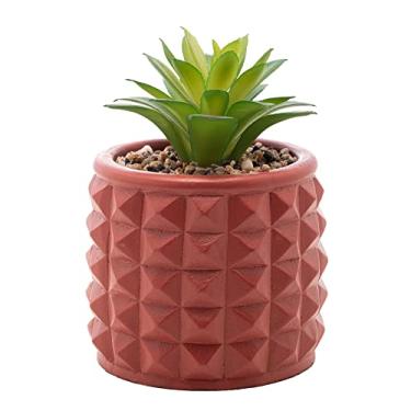 Imagem de WOLFF - Cachepot de Cimento C/Suculenta Spikes Terracota 10 cm x 15cm