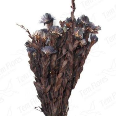Imagem de Arapurama Desidratado Buque Flores Secas - Pense Flores, Roxo
