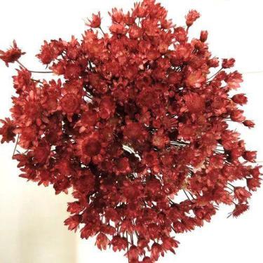 Imagem de 1200 Sempre Viva Para Decoração - Pense Flores, Marsala