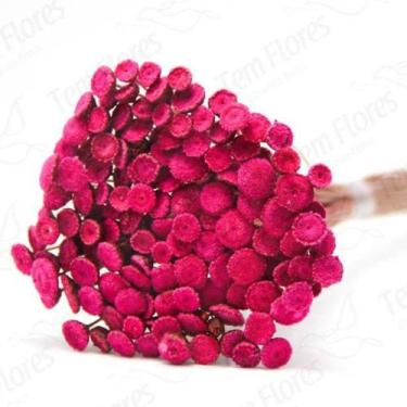 Imagem de Botão Branco Desidratado Variações - Pense Flores, Pink