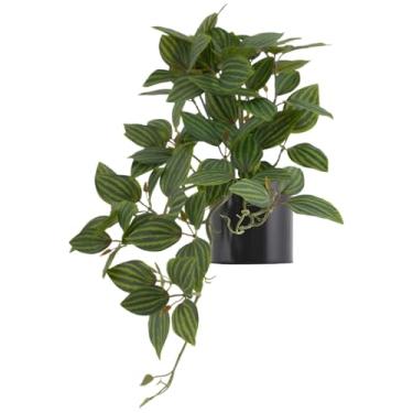 Imagem de Peperomia de seda artificial para decoração de mesa, vegetação inspirada em melancia com vaso, folhas impressas realistas
