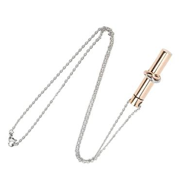 Imagem de Generic Colar de Urna de Cinzas de Aço Inoxidável 316L, Pingente de Cremação Resistente à Oxidação, Design Neutro, Tamanho Compacto, para Proprietários de Animais de Estimação