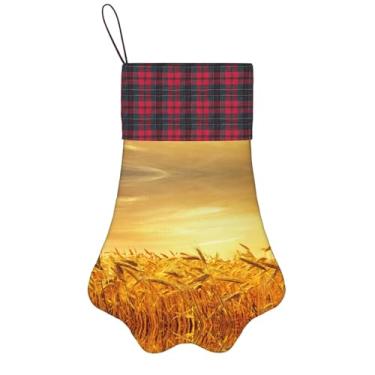 Imagem de SKKNT Meias de Natal com estampa de campo de trigo, animais de estimação, decoração de Natal, cães, gatos, árvores, doces, presente, conveniente