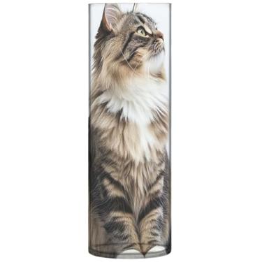 Imagem de Maine Coon Cat Print Vasos de flores cilíndricos para centros de mesa vaso de flores redondo fofo personalizado floral decoração de sala de estar, 30 cm x 9,9 cm