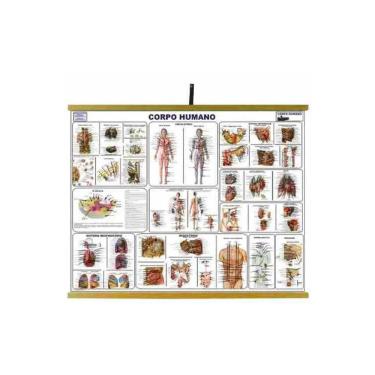 Imagem de Mapas Educativos - Corpo Humano 900x1200mm