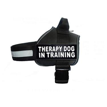 Imagem de Coleira de nylon para cães Therapy Dog in Training. A compra vem com 2 cães de terapia reflexiva em caminhos de treinamento. Meça seu cão antes de fazer o pedido (circunferência de 61 a 78 cm, preto)