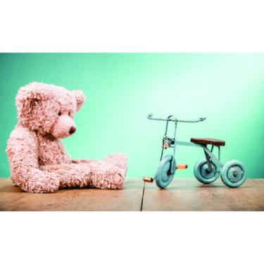 Imagem de Fundo Fotográfico Em Tecido Urso Velotrol 2,20X1,50