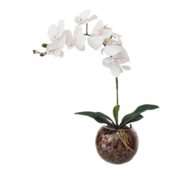 Imagem de Arranjo flores de orquídeas clássico no terrário vidro Xico - La Caza 