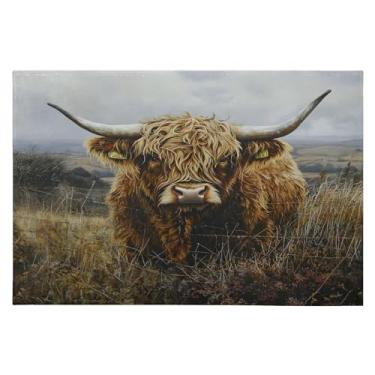 Imagem de CEBUGI Tapete de área 60 x 90 cm macio lavável tapete antiderrapante com suporte de borracha tapetes de área de gado highland para sala de estar, quarto, decoração de casa