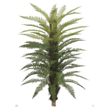 Imagem de Samambaia verde real toque 1,7m - Florarte 