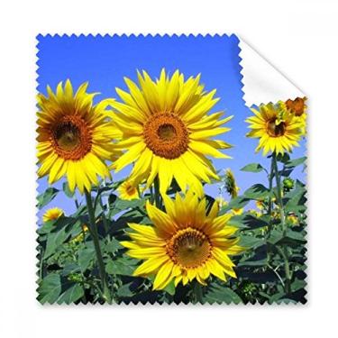Imagem de Sunshine Flowers Girassóis Azul céu pano de limpeza limpador de óculos de tela de telefone 5 peças