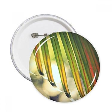 Imagem de Imagem de planta de folha de sol natureza alfinetes redondos emblema botão decoração acessório 5 peças