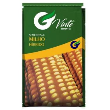 Imagem de 50 Sementes De Milho de pipoca  - SEEDS