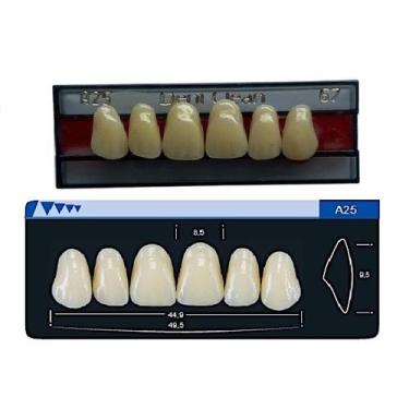 Imagem de Dente Dent Clean Anterior A25 Superior - Imodonto, 67