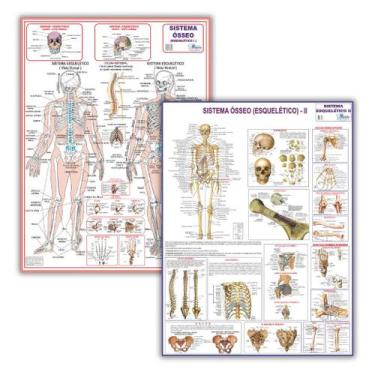 Imagem de Mapas Dobrados Do Sistema Esquelético 1 + Sistema Esquelético 2 - 120x