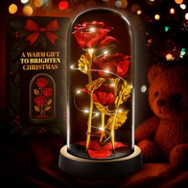Imagem de KETAR Rosa em cúpula de vidro – luzes de flores rosas de vidro LED, rosas românticas para decoração de casa, lindos presentes de aniversário para mulheres | presentes para mãe, avó e namorada