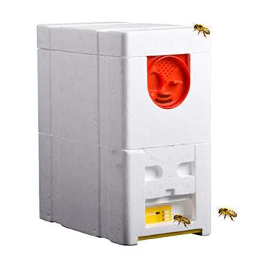 Imagem de Colmeias de Abelhas - Casa Apicultura Espuma Deck Caixa Raça Rei Polinização Equipamento Apicultor Ferramentas