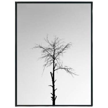 Imagem de Quadro Decorativo Foto Árvore Seca Moldura Preta 24X18Cm