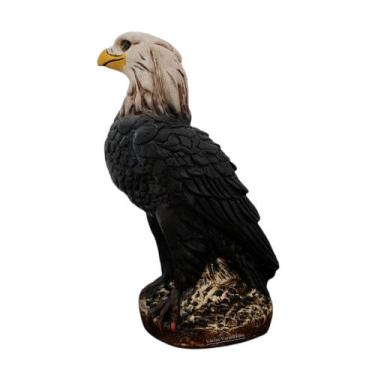 Imagem de Gavião Espanta Pombo e Passarinho Decoração Jardim - Várias Variedades