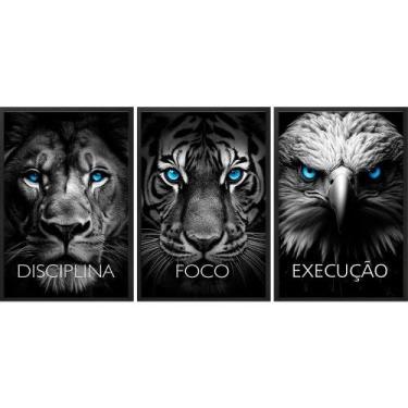 Imagem de Kit 3 Quadros Animais Disciplina Foco Execução 33X24Cm Vidro - Quadros