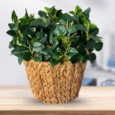 Imagem de 12 Buquês de Peperômia Artificial Permanente de Alta Qualidade para De