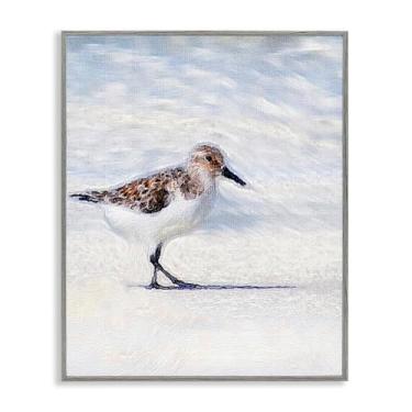 Imagem de Stupell Industries Blue Coast Sandpiper Painting Gray Framed Giclee Art Design por Denise Brown, 16 x 20