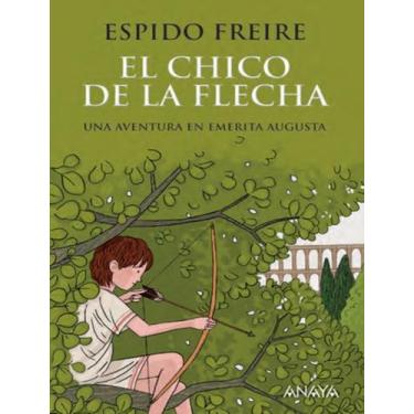 Imagem de Livro - Chico De La Flecha, El, 12, 14.2 x 21