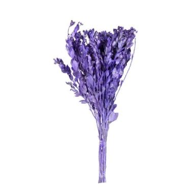 Imagem de Carne de Vaca / Carvalho Lilás - Pense Flores