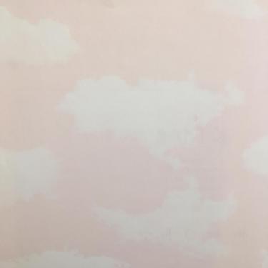 Imagem de Papel de Parede All Kids Céu Cor de Rosa H2911303 - Rolo: 10m x 0,53m