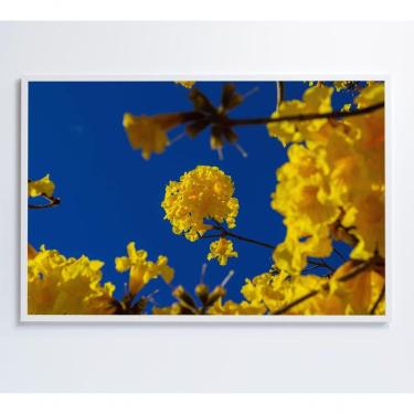 Imagem de Quadro árvore Ipê Amarelo No Céu Azul Medidas 80x120 Cm Impressão Adesivo Fotográfico