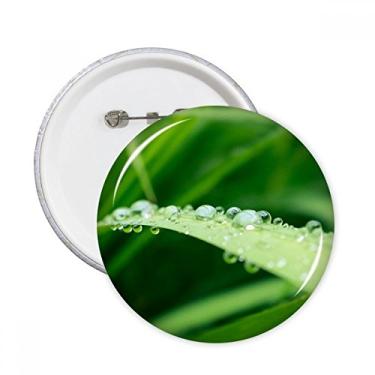 Imagem de Imagem de plantas de folhas verdes natureza pinos redondos emblema decoração de roupas 5 peças presente