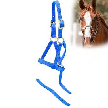 Imagem de Jeffers Cabresto de nylon para desmame equino para potros, pôneis, cavalos em miniatura – Correia ajustável de 2 camadas de 3/10.2 cm com ferragens banhadas em latão – Leve para treinamento, cuidados